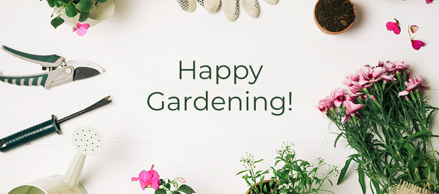 Warren Greenhouse Blog - spring